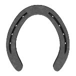 SC SureFit Hind
